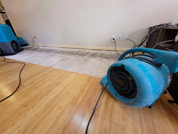 Professional Water Removal technician working in Derby, OH